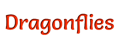 Dragonflies banner